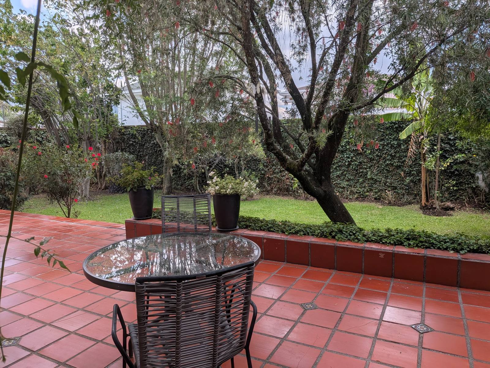 Patio de Casa Eje